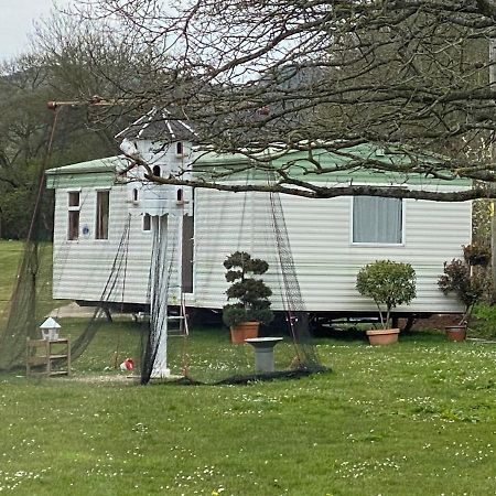 The Nest - Family Friendly Caravan Nr Glastonbury & Street Сомертон Экстерьер фото