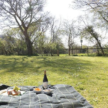 The Nest - Family Friendly Caravan Nr Glastonbury & Street Сомертон Экстерьер фото