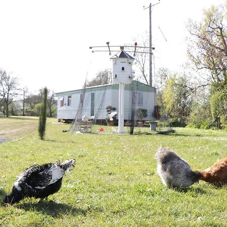 The Nest - Family Friendly Caravan Nr Glastonbury & Street Сомертон Экстерьер фото
