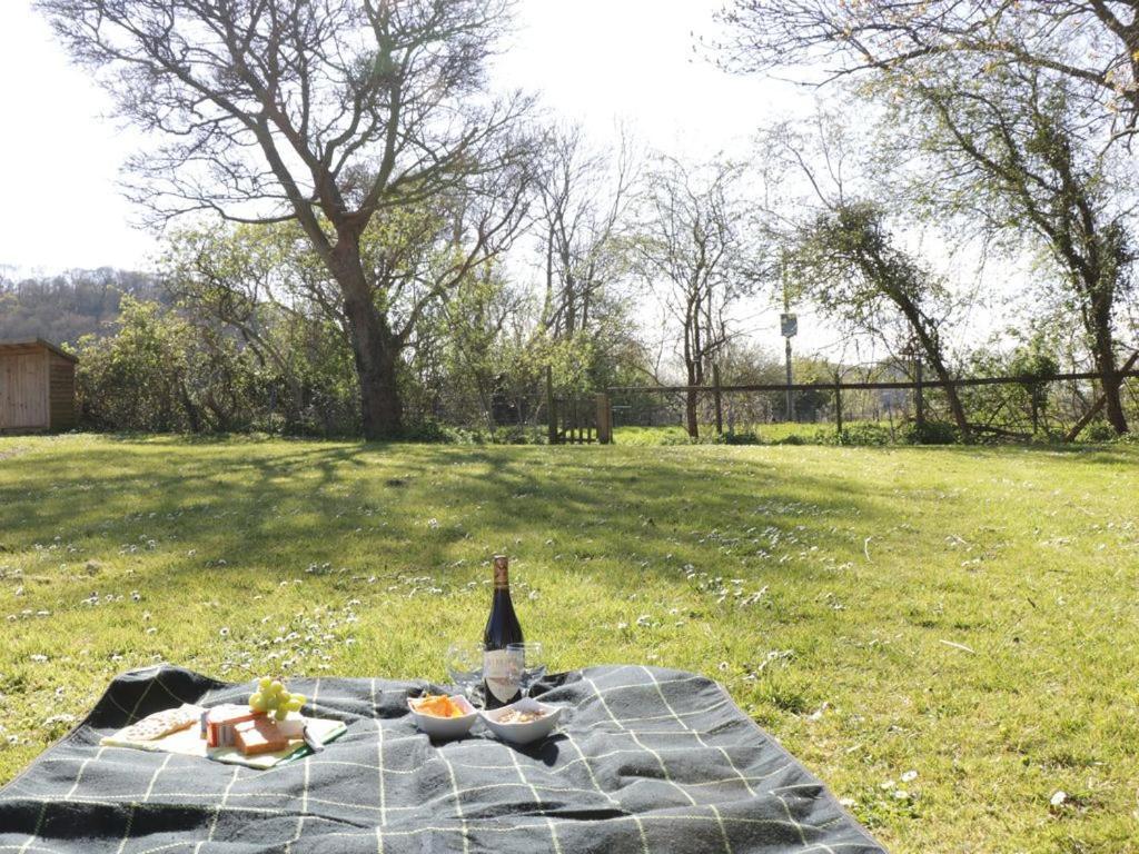 The Nest - Family Friendly Caravan Nr Glastonbury & Street Сомертон Экстерьер фото